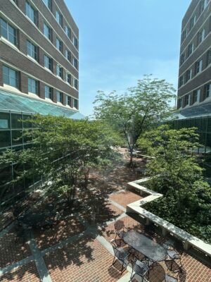 Peaceful tree-shaded courtyard at Winchester Medical Center in Virginia with benches and walking paths.